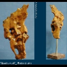 73 a.jpg